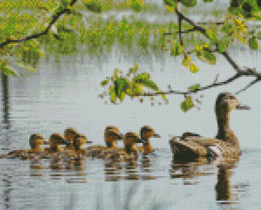 Ducks Swimming In Pond Diamond Painting