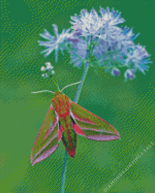 Elephant Hawk Moth Diamond Painting