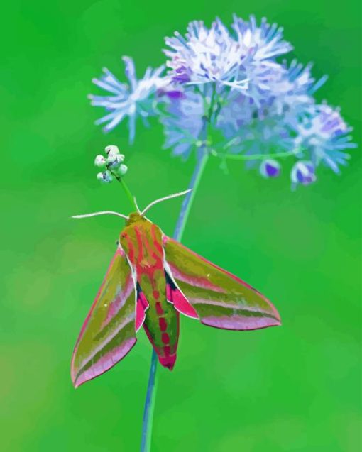 Elephant Hawk Moth Diamond Painting