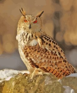 Eurasian Eagle Owl Diamond Painting