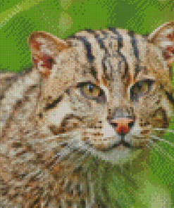 Fishing Cat Diamond Painting