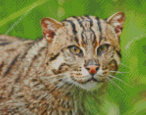 Fishing Cat Diamond Painting