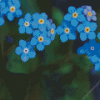 Forget Me Nots Diamond Painting