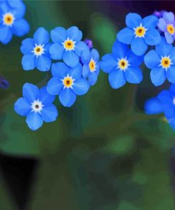 Forget Me Nots Diamond Painting