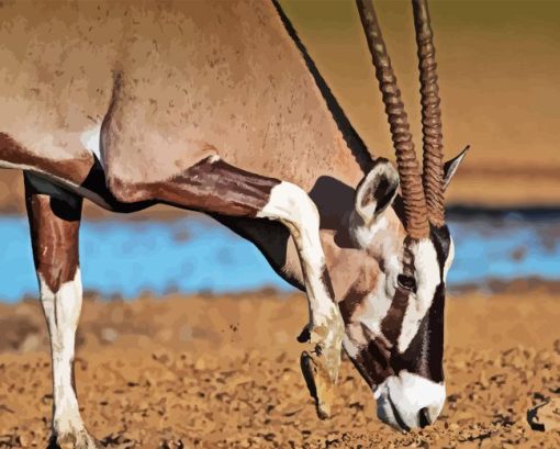 Gemsbok Animal Diamond Painting