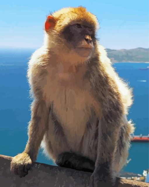 Gibralter Ape Primate Diamond Painting