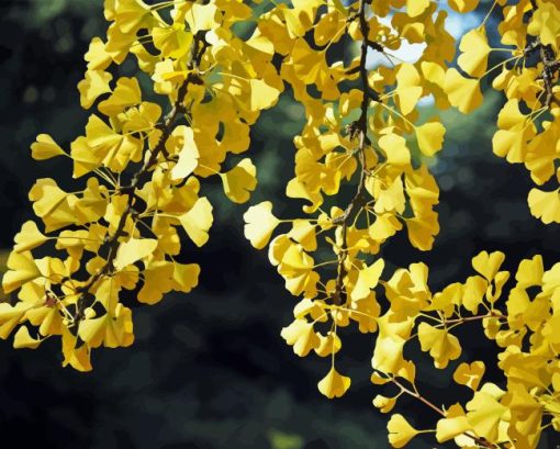 Ginkgo Tree Diamond Painting