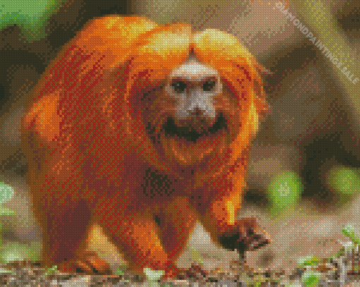 Golden Lion Tamarin Diamond Painting