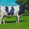 Holstein Friesian Diamond Painting