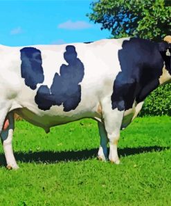 Holstein Friesian Diamond Painting