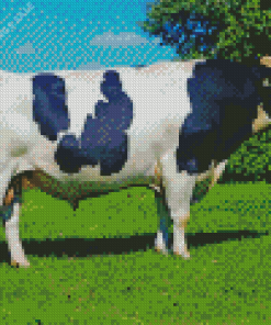 Holstein Friesian Diamond Painting