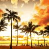 Honolulu Sunset Diamond Painting