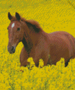 Horses In Yellow Flowers Field Diamond Painting