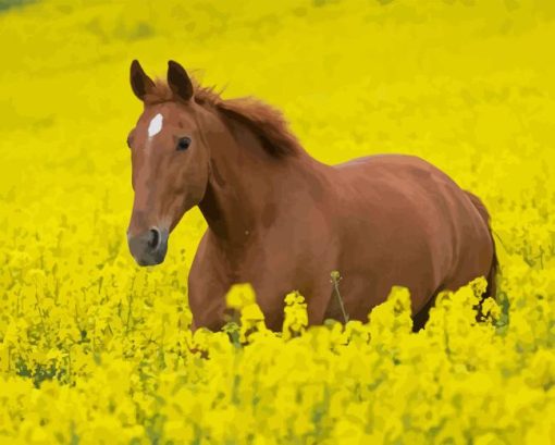 Horses In Yellow Flowers Field Diamond Painting