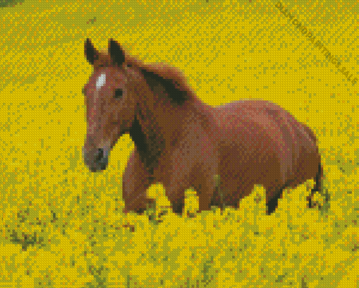 Horses In Yellow Flowers Field Diamond Painting