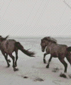 Horses Running At The Beach Diamond Painting