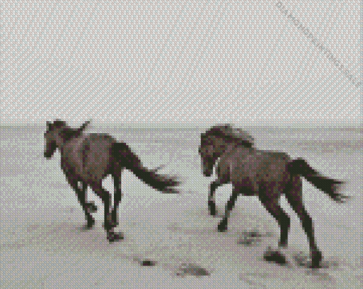 Horses Running At The Beach Diamond Painting