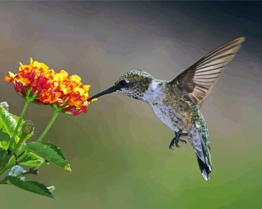 Hummingbird And Orange Hydrangeas Diamond Painting