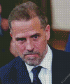 Hunter Biden Diamond Painting