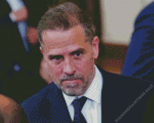 Hunter Biden Diamond Painting