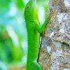 Jamaican Giant Anole Diamond Painting