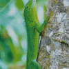 Jamaican Giant Anole Diamond Painting