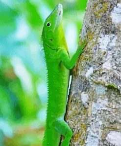 Jamaican Giant Anole Diamond Painting