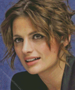 Kate Beckett Diamond Painting