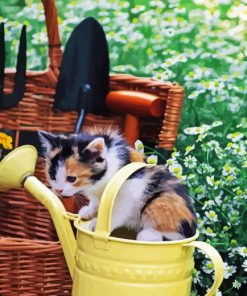 Kitten In Garden Diamond Painting