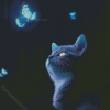 Kitten With Blue Butterfly Diamond Painting