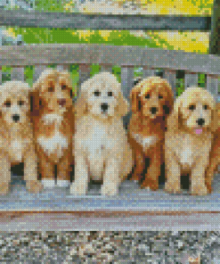 Labradoodle Puppies Diamond Paints