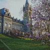 Lehigh University Diamond Painting