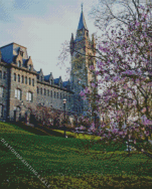 Lehigh University Diamond Painting