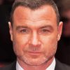 Liev Schreiber Diamond Painting