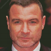 Liev Schreiber Diamond Painting