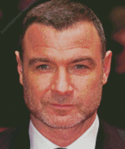 Liev Schreiber Diamond Painting