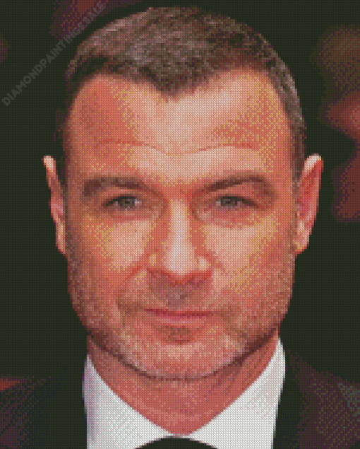 Liev Schreiber Diamond Painting