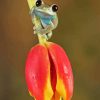 Little Frog On A Tulip Diamond Paints