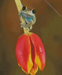 Little Frog On A Tulip Diamond Paints