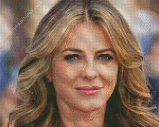 Liz Hurley Diamond Painting