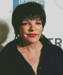 Liza Minnelli Diamond Painting