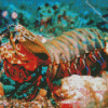 Mantis Shrimp Diamond Painting