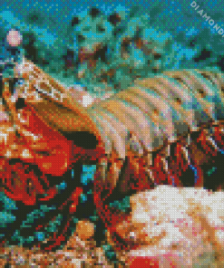 Mantis Shrimp Diamond Painting