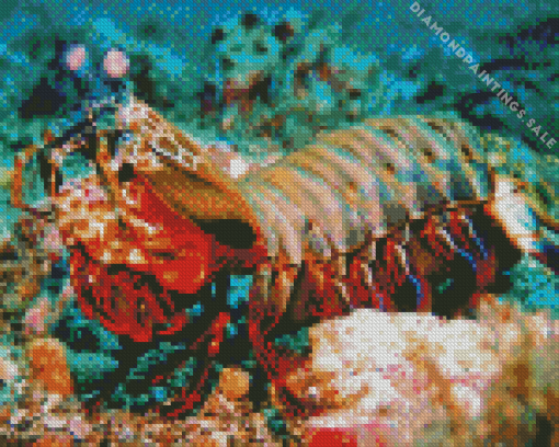 Mantis Shrimp Diamond Painting