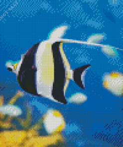 Moorish Idol Diamond Dotz