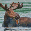 Moose On Water Diamond Painting