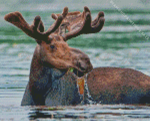 Moose On Water Diamond Painting