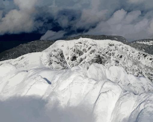 Mountain Arrowsmith Diamond Painting