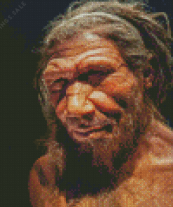 Neanderthal Primate Diamond Painting