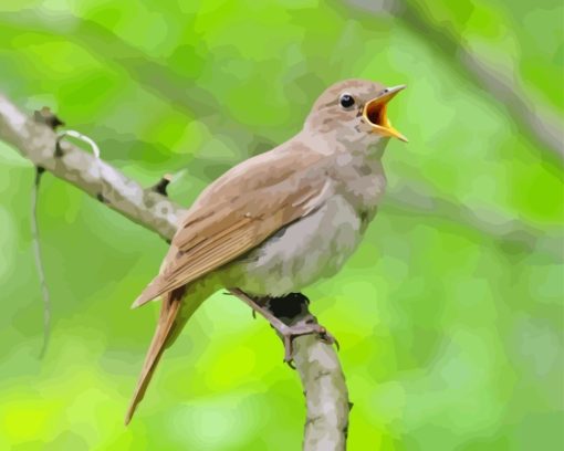 Nightingale Bird Singing Diamond Painting